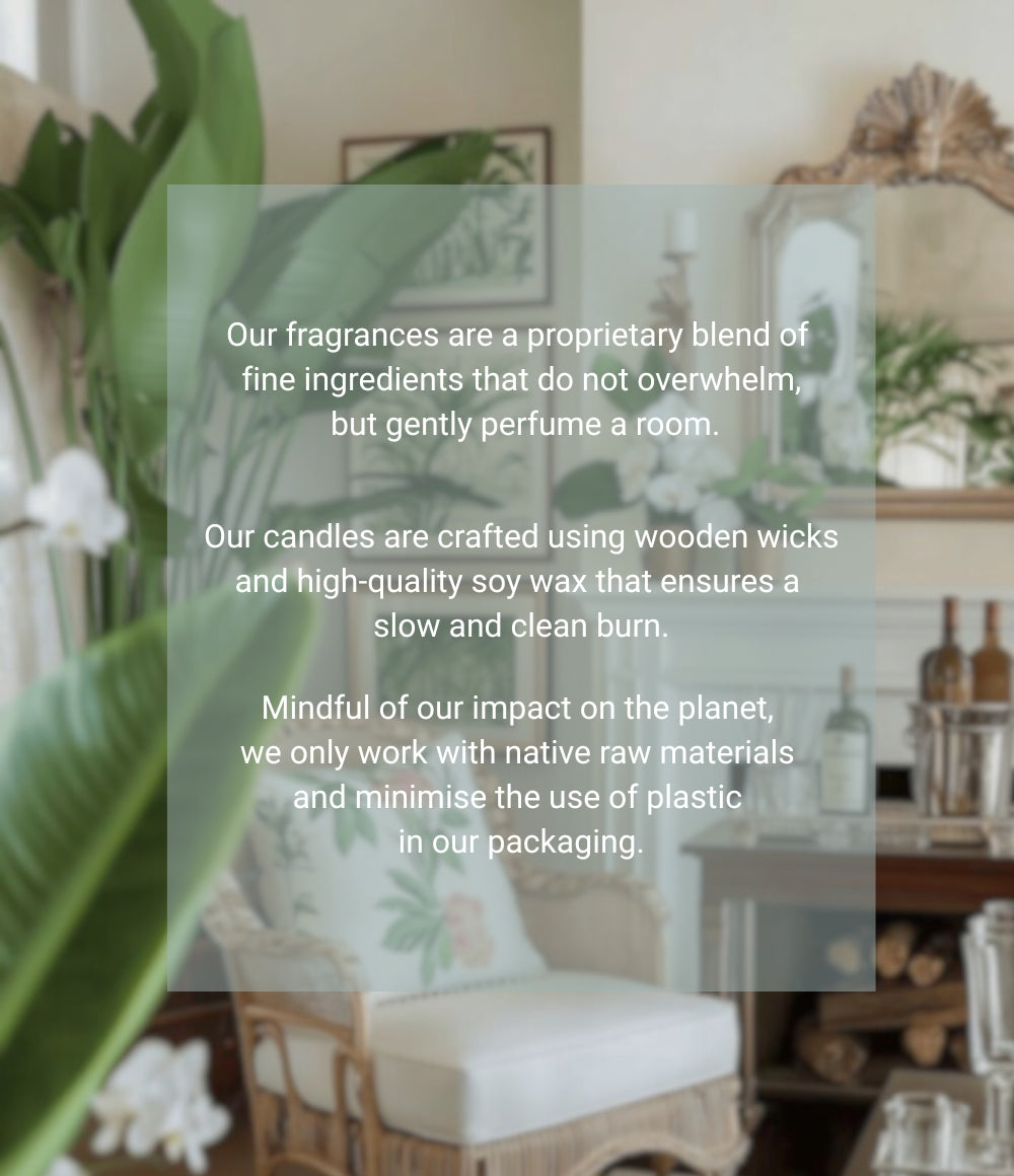 PALM Petite Luxe Box