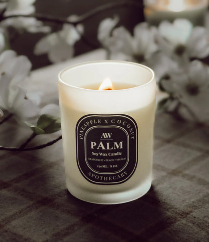 PALM Classic